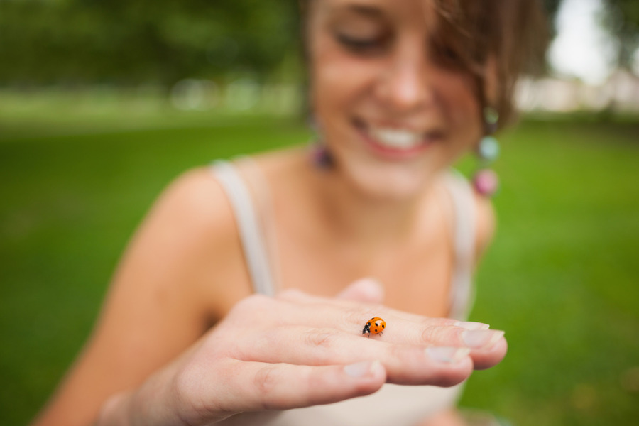 La coccinelle alliee du jardin et de la biodiversite