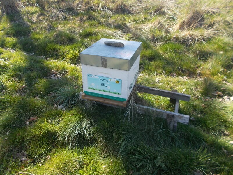 Sauvez les abeilles
