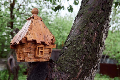 Comment installer un nichoir à abeilles chez soi ?