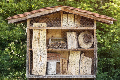 Un nichoir à abeilles est-il vraiment utile ?