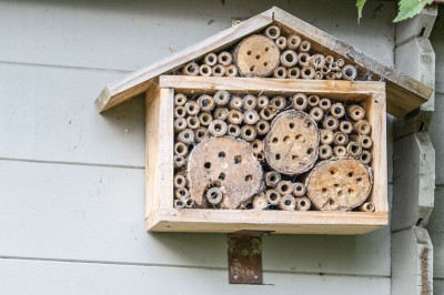Qu’est-ce qu’un hôtel ou une maison à insectes ?