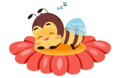 Est-ce qu’une abeille dort ?