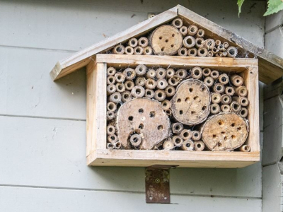 Qu’est-ce qu’un hôtel ou une maison à insectes ? 
