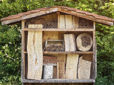 Un nichoir à abeilles est-il vraiment utile ?